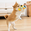 Oxford Cloth Squeaky Slipper Toy for Dogs