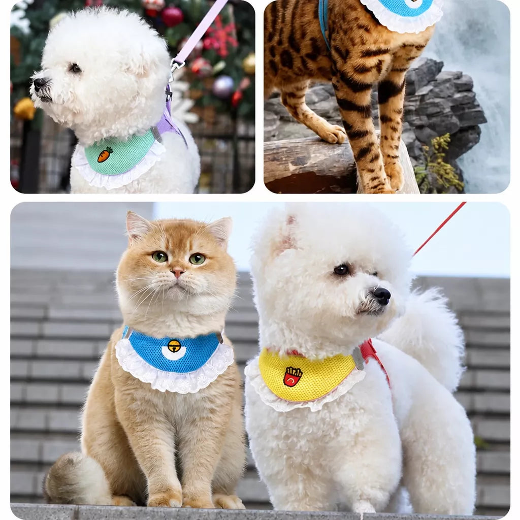 Nylon Dog & Cat Harness and Leash for Everyday Walks