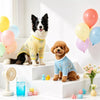 Lightweight Four-Leg Dog Shirt