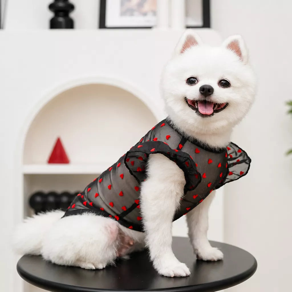 Lightweight Mesh Pet Shirt for Dogs and Cats