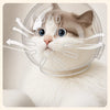Clear Plastic Cone Collar for Cats