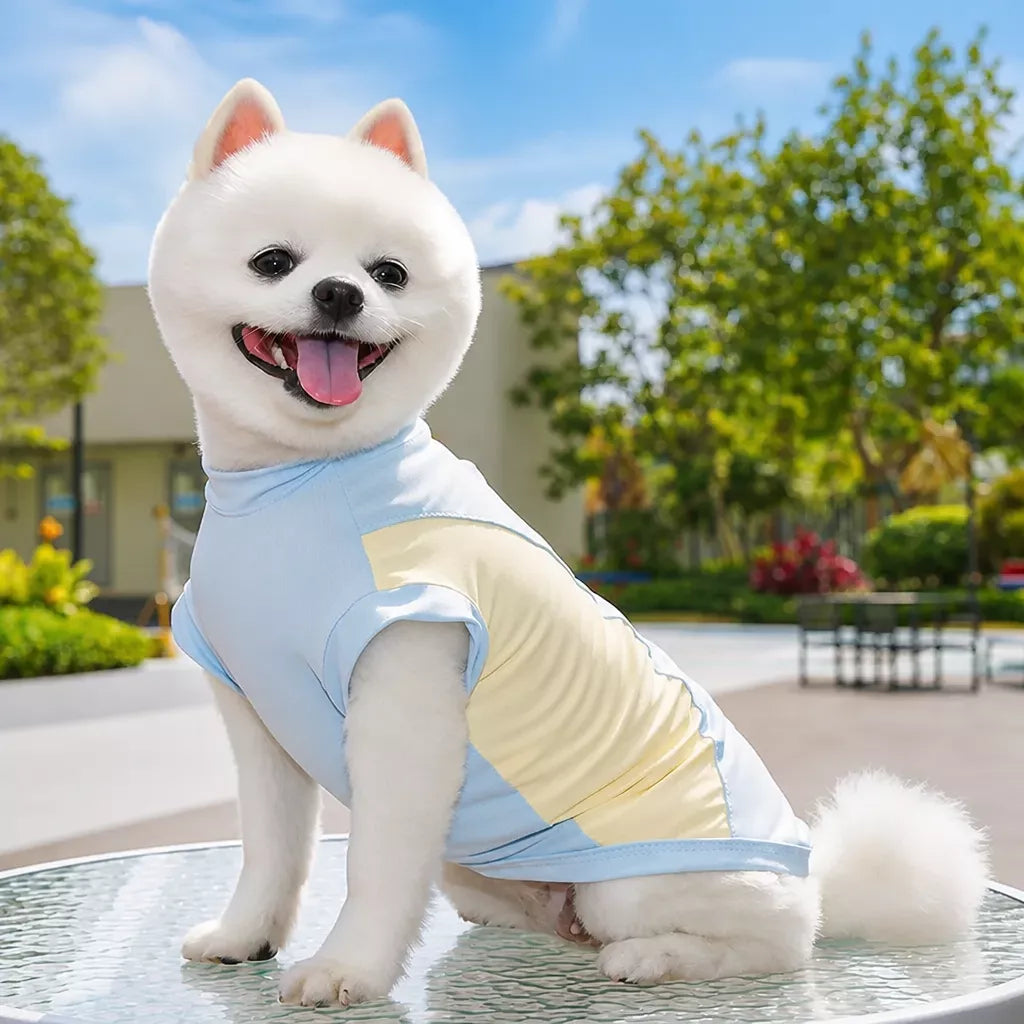 Lightweight Dog & Cat Shirt for Warm-Weather Wear