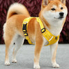 Nylon Dog Walking Harness