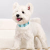 Faux Leather Dog & Cat Collar with Jewel Detail