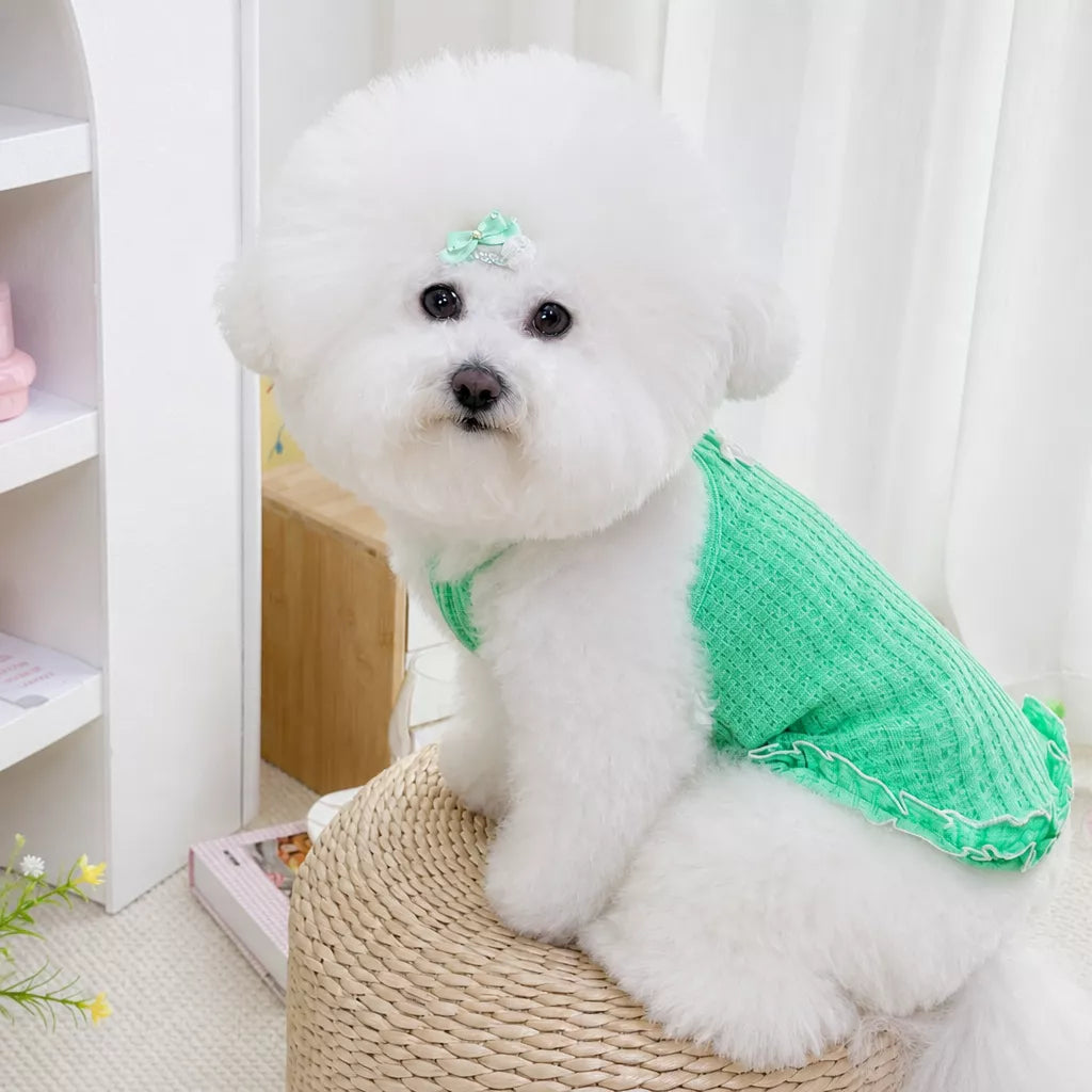 Pet Harness Vest for Small Dogs and Cats