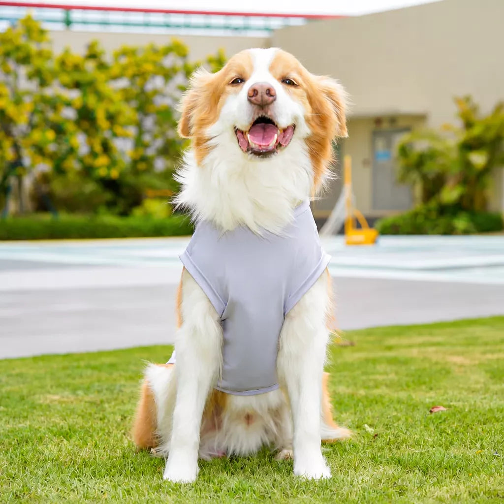 Lightweight Four-Leg Pet Shirt for Dogs & Cats