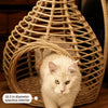 Hanging Rattan Pet Basket Bed for Pets Up to 22 lb