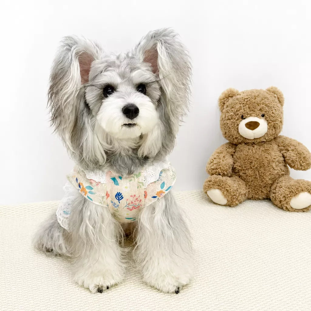 Lightweight Lace Pet Clothing with Bow and Ruffle Trim