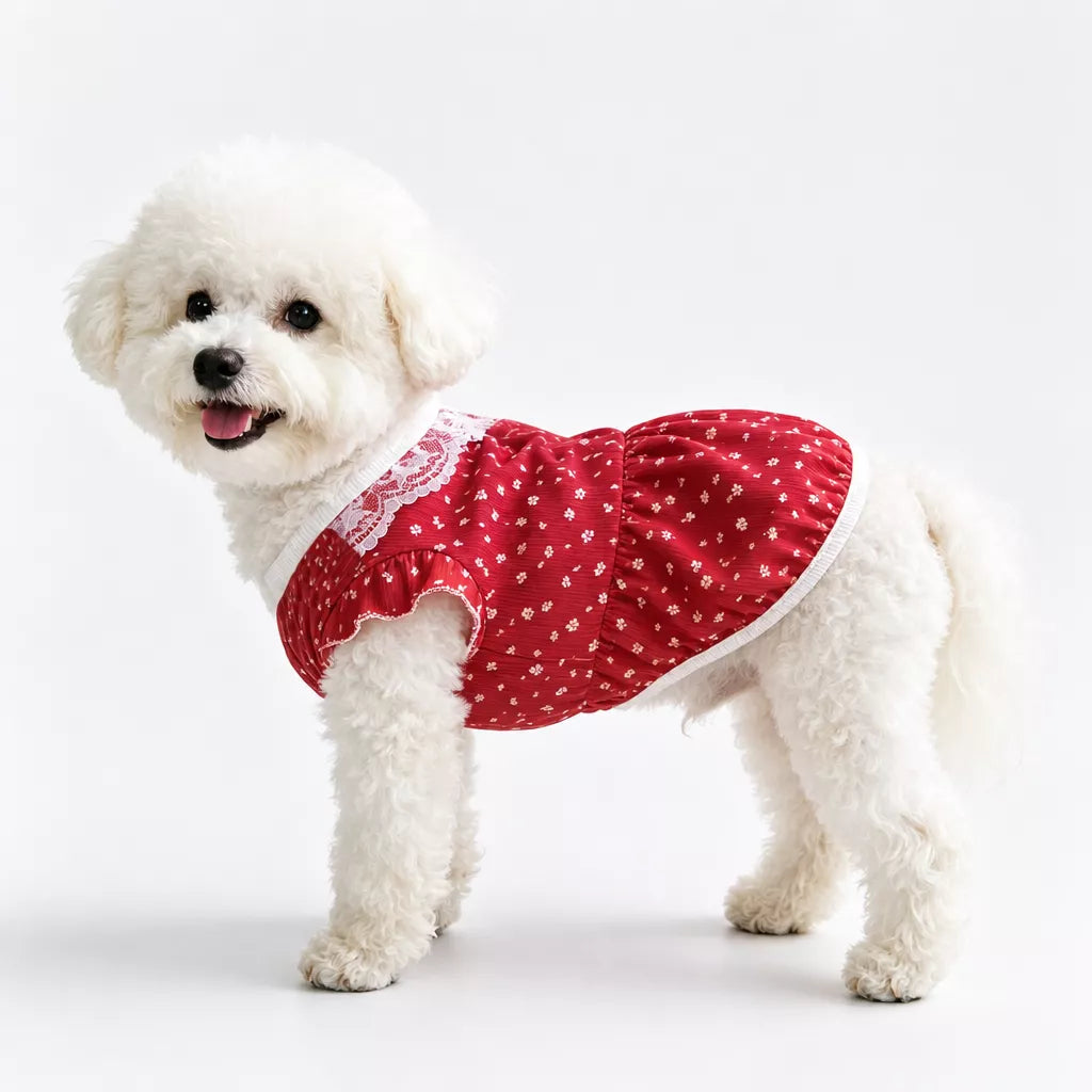 Lightweight Summer Pet Vest for Dogs & Cats