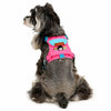 Adjustable Vest-Style Dog Harness and Leash