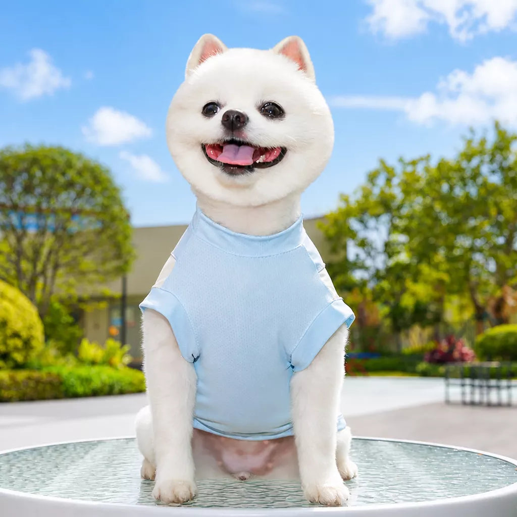 Lightweight Dog & Cat Shirt for Warm-Weather Wear