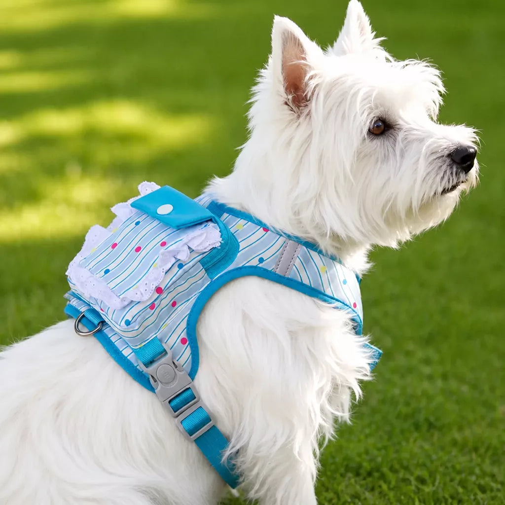 Vest-Style Harness and Leash Set for Small to Medium Dogs