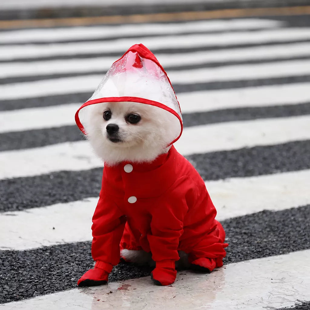 Waterproof Full-Coverage Raincoat with Leg Coverage for Small Dogs
