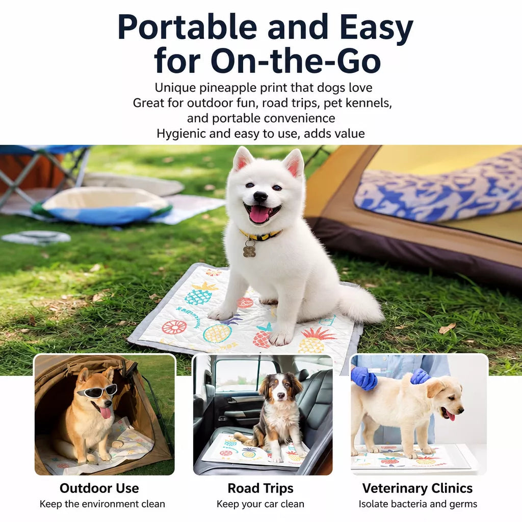 Absorbent Dog Training Pads for Indoor Potty Training