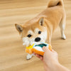 Oxford Cloth Squeaky Slipper Toy for Dogs