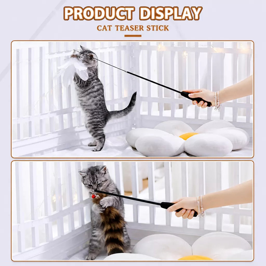 Cat Teaser Wand with Interchangeable Feather Attachments