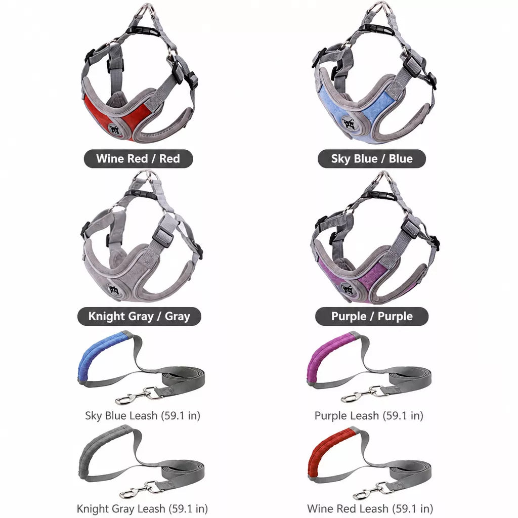 Dog Harness and Leash Set for Small to Medium Dogs