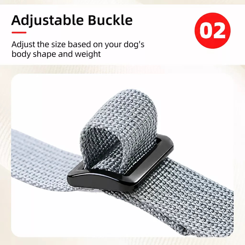 Nylon Vest-Style Dog Harness for Small to Medium Dogs