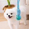 Rope Tug and Treat-Dispensing Dog Toy