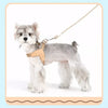 Nylon Round Rope Dog Leash for Small to Medium Dogs