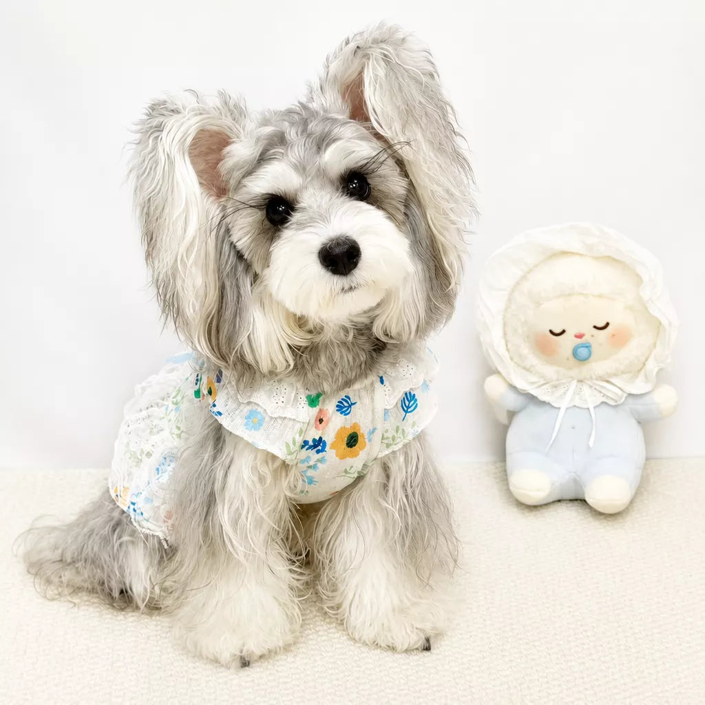 Lightweight Lace Pet Clothing with Bow and Ruffle Trim
