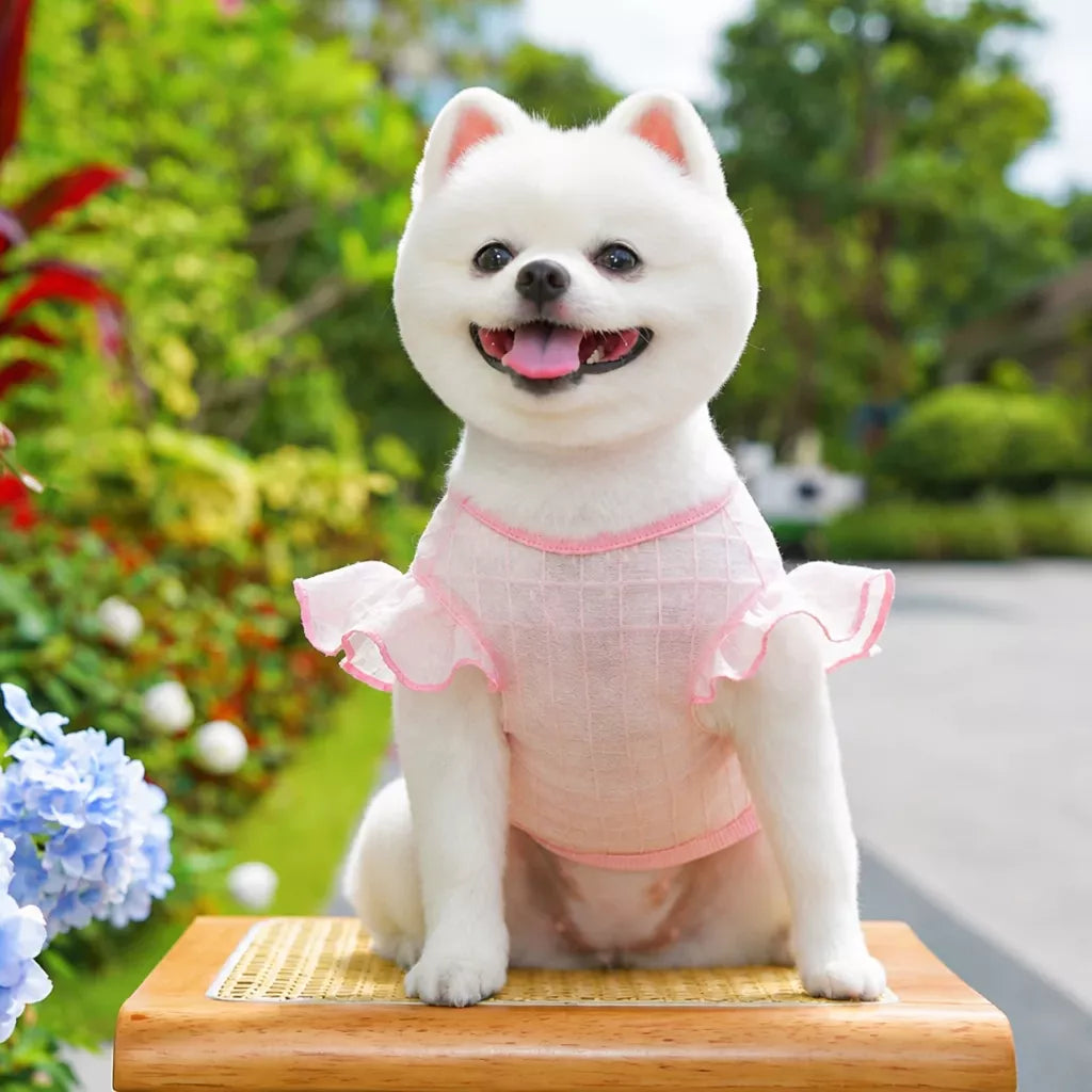Lightweight Silk Pet Shirt with Lace Sleeves
