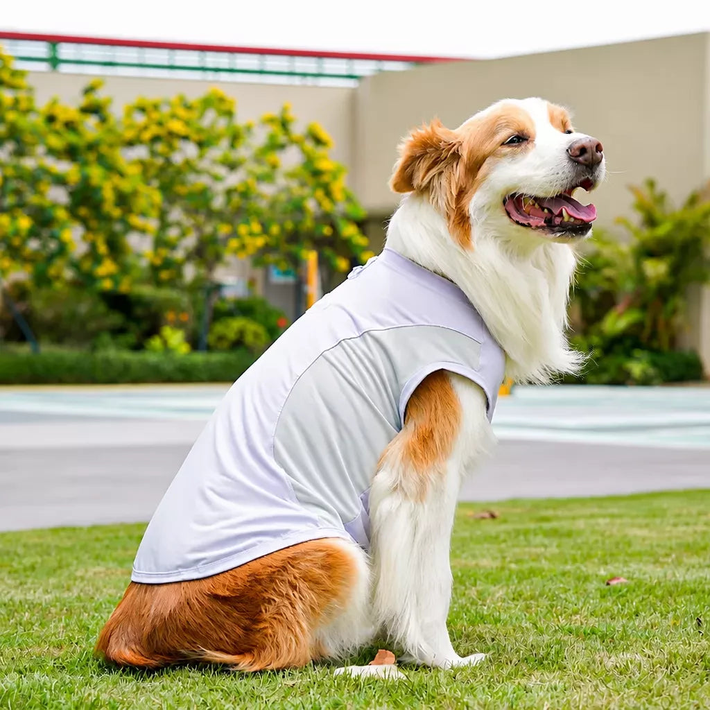 Lightweight Four-Leg Pet Shirt for Dogs & Cats