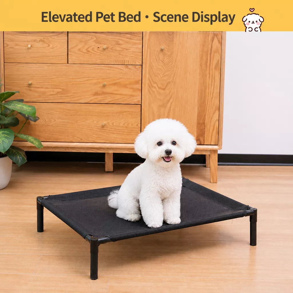 Elevated Dog & Cat Bed with Removable, Washable Pad
