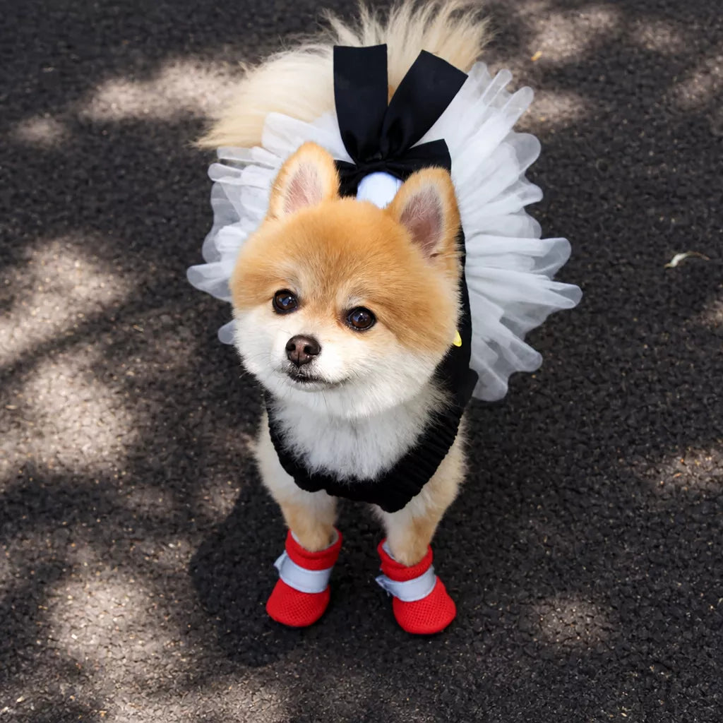 Mesh Dog Shoes with Soft Soles for Everyday Walks