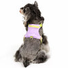 Adjustable Vest-Style Dog Harness and Leash