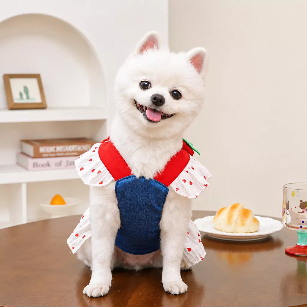 Cotton Denim-Style Pet Dress with Harness and Leash