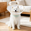 Plastic Elizabethan Cone Collar for Dogs
