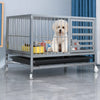 Indoor Iron Dog Crate with Tray and Locking Casters