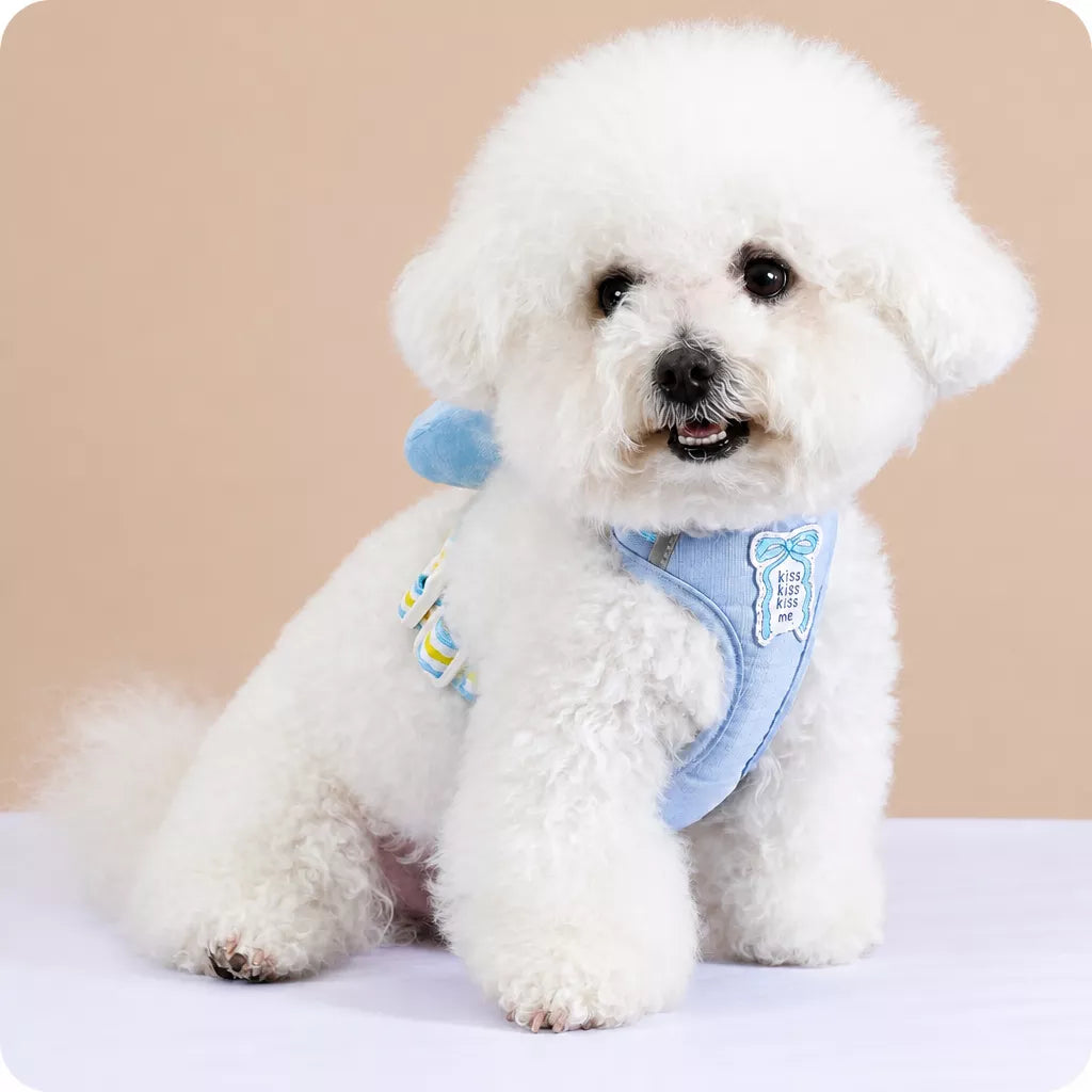 Small Dog Harness & Leash