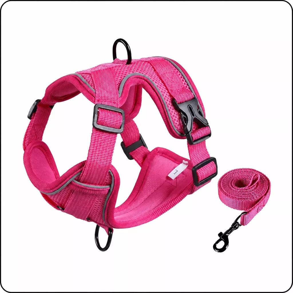 Adjustable Cat Harness and Leash