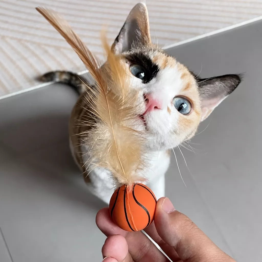 Cat Ball Toy with Feather Details