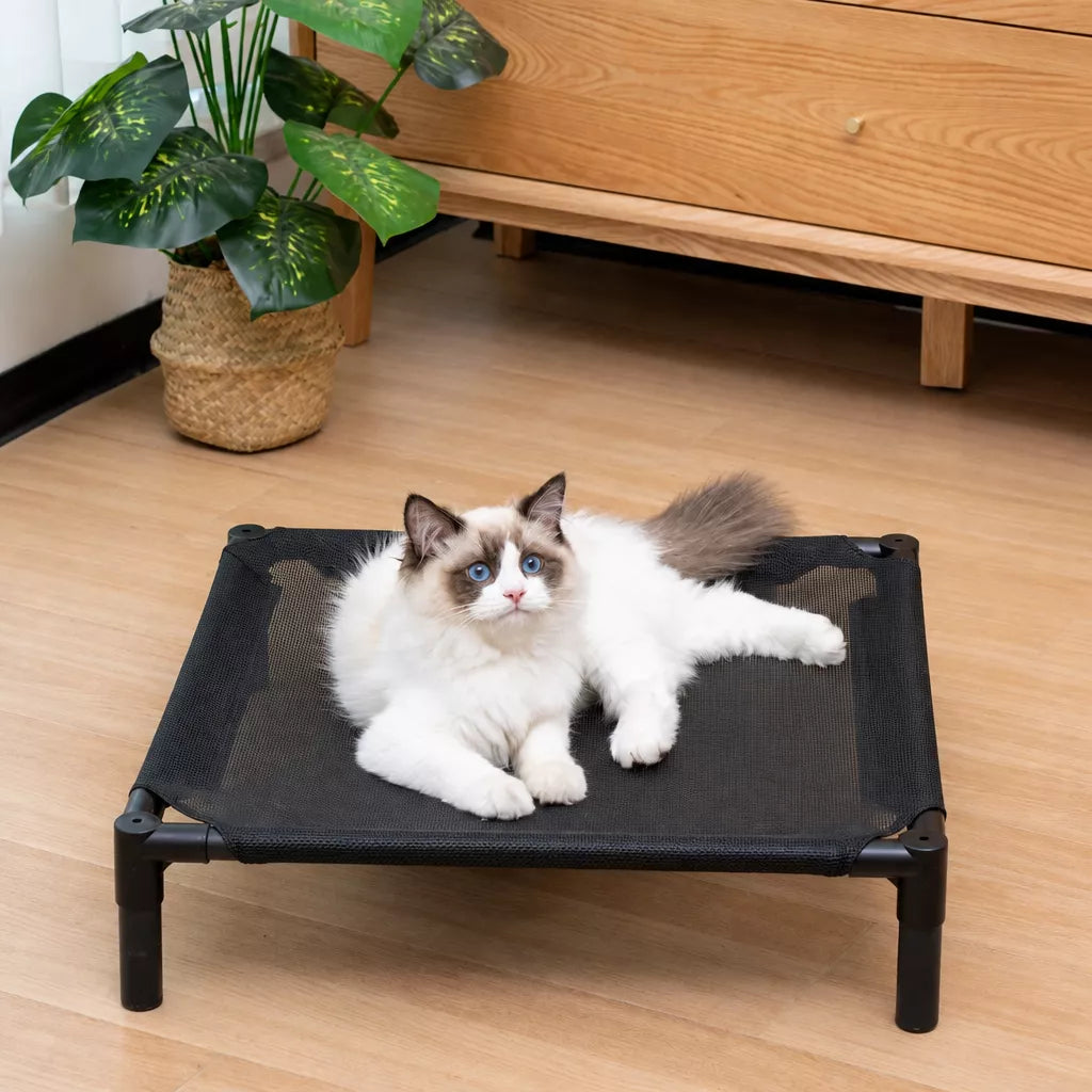 Elevated Dog & Cat Bed with Removable, Washable Pad