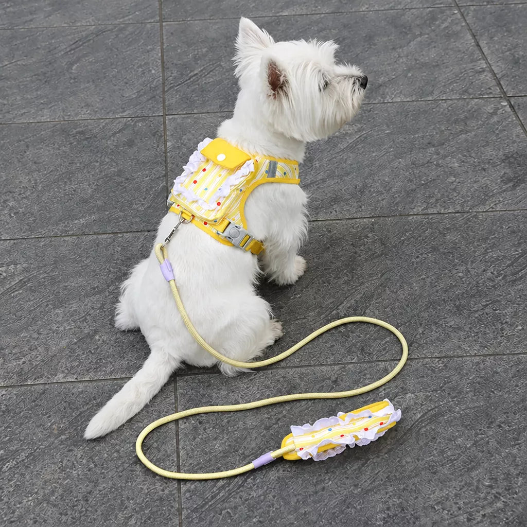 Vest-Style Harness and Leash Set for Small to Medium Dogs