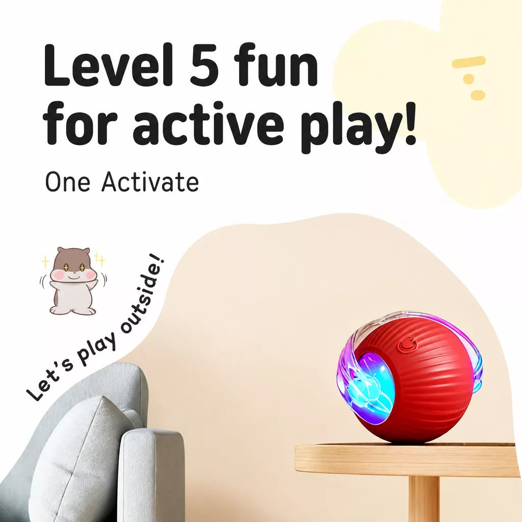 Interactive Cat Toy Ball