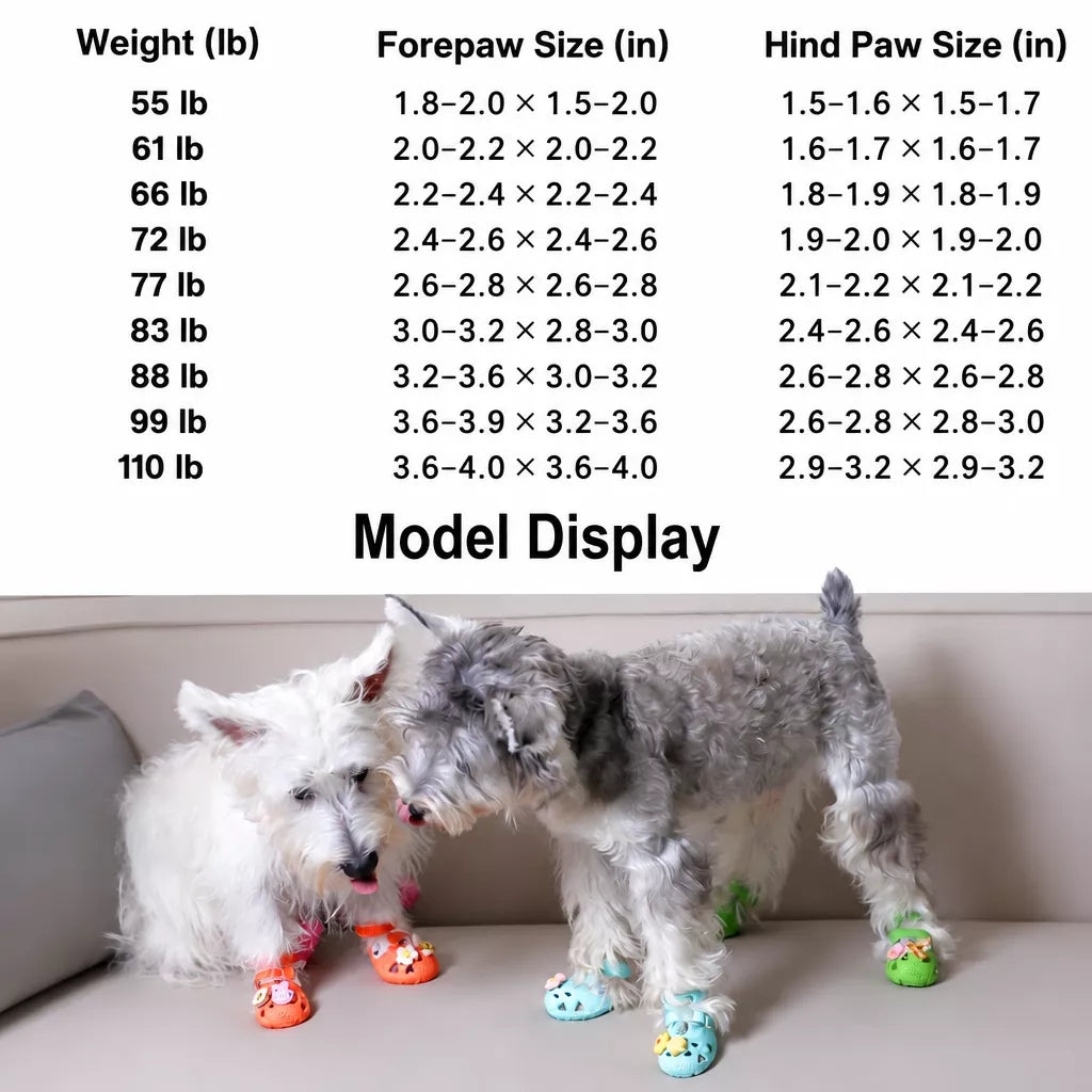 Dog Clog-Style Shoes for Outdoor Walks