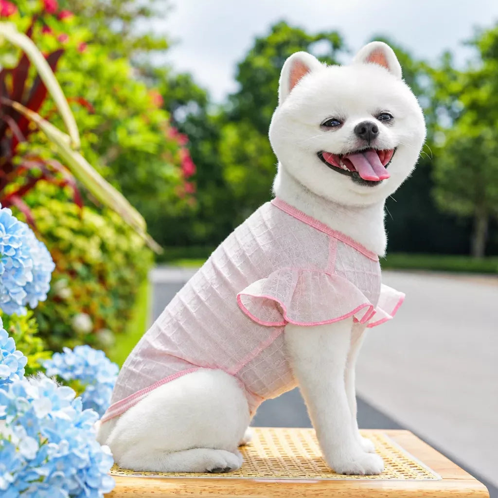 Lightweight Silk Pet Shirt with Lace Sleeves