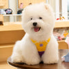 Vest-Style Dog Harness with Leash