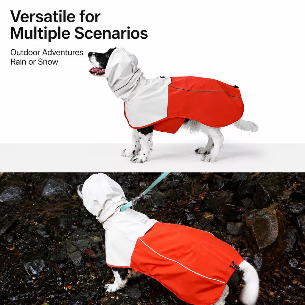 Two-Piece Dog Rain Suit
