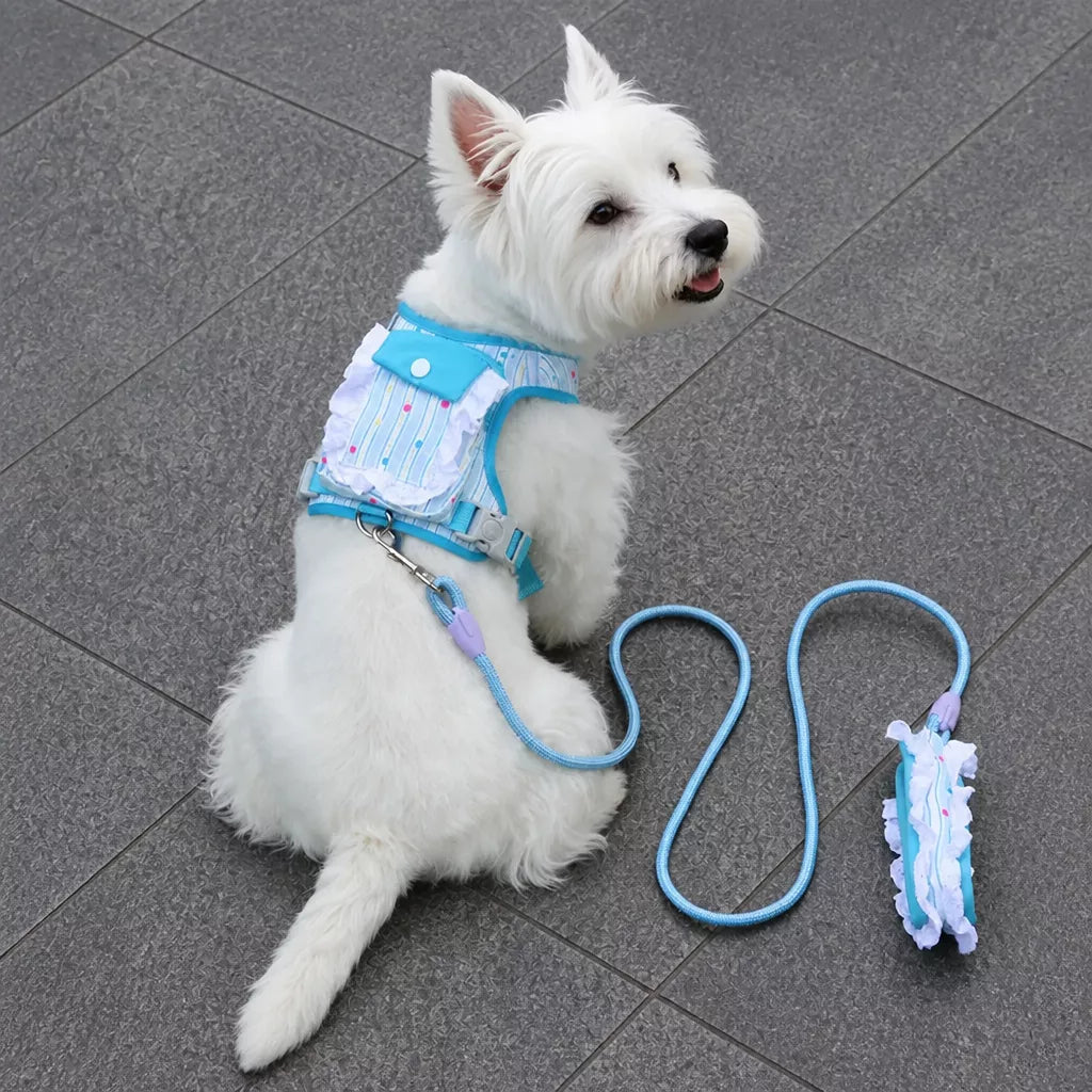 Vest-Style Harness and Leash Set for Small to Medium Dogs