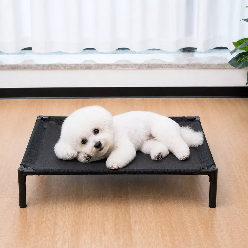 Elevated Dog & Cat Bed with Removable, Washable Pad