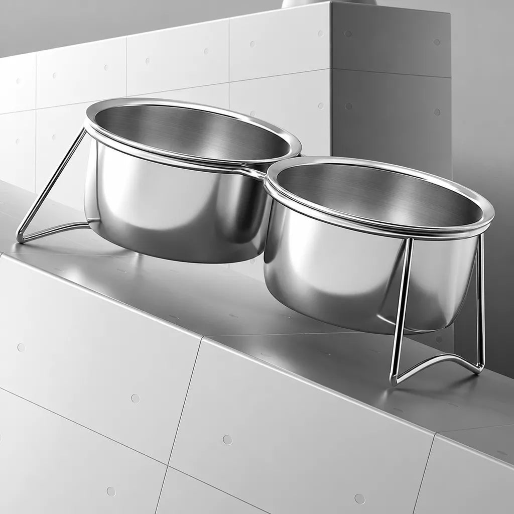 Stainless Steel Double Pet Bowls with Elevated Stand