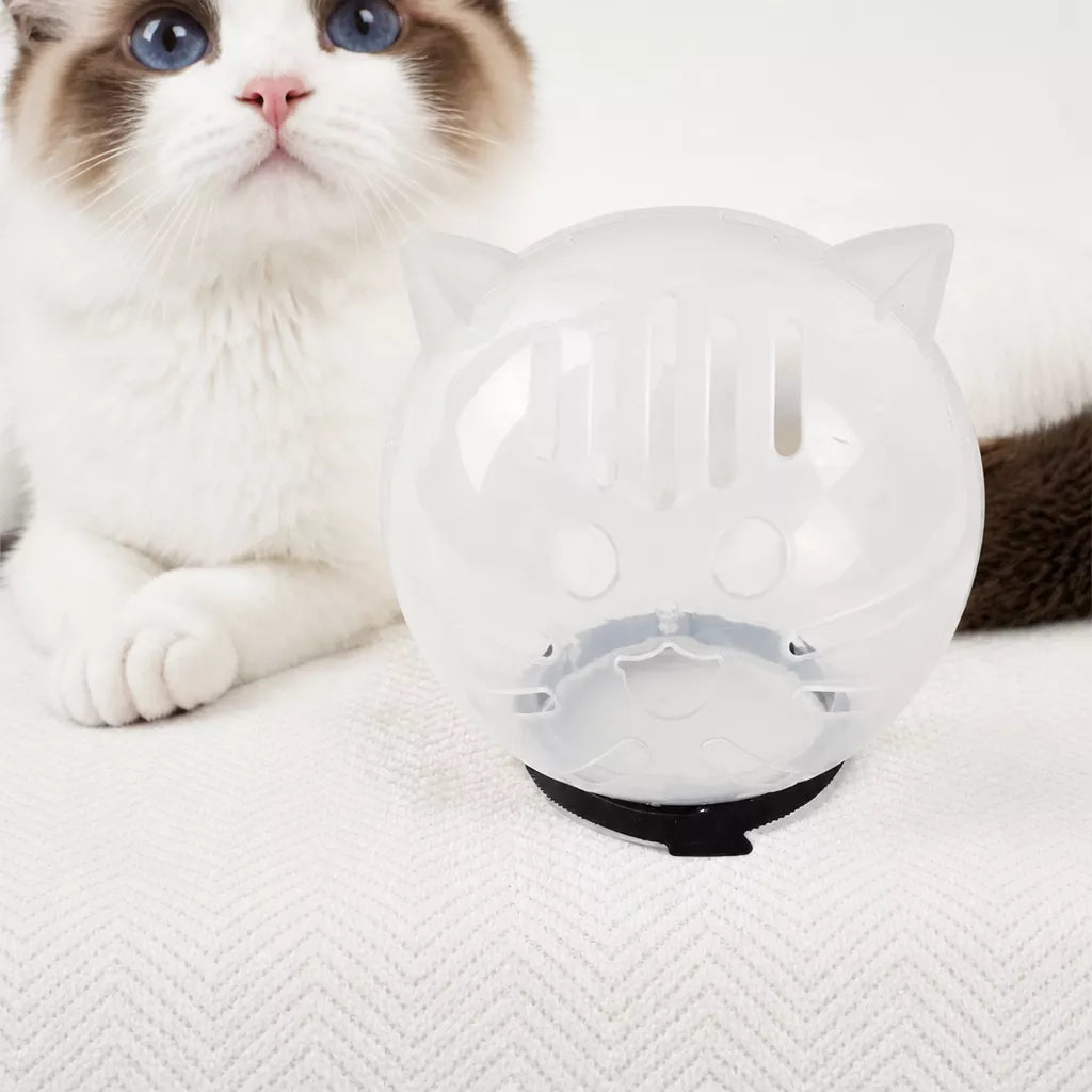 Plastic Recovery Cone for Cats During Grooming and Care