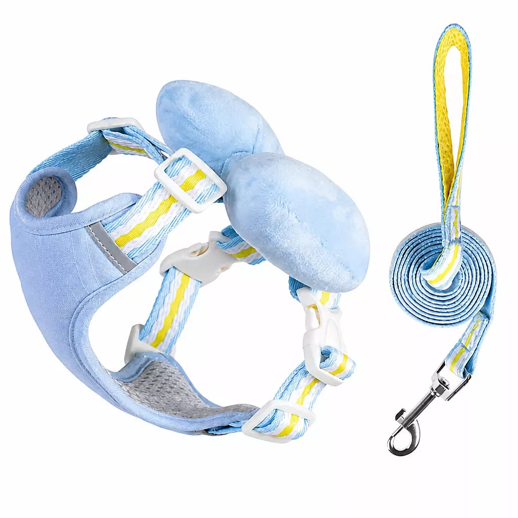 Small Dog Harness & Leash