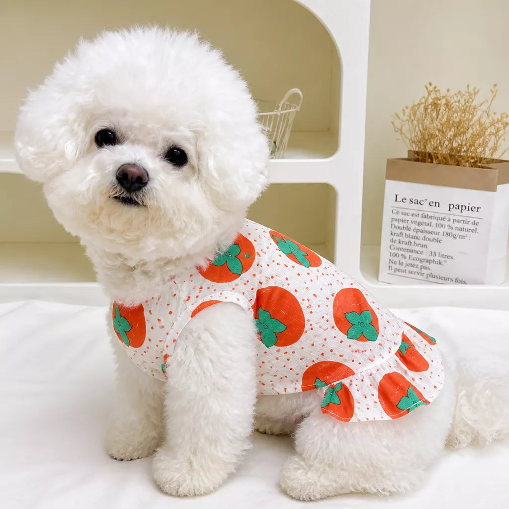 Breathable Mesh Summer Dress for Dogs and Cats