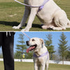 Dog Harness for Everyday Walks
